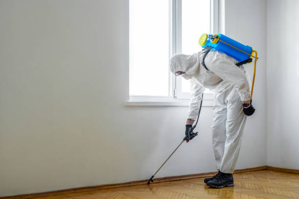 Best Mosquito Control Services  in Crooksville, OH